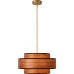 Mid-Century Wood Veneer Pendant Light - Metal Accent Retro Chandelier Main Image